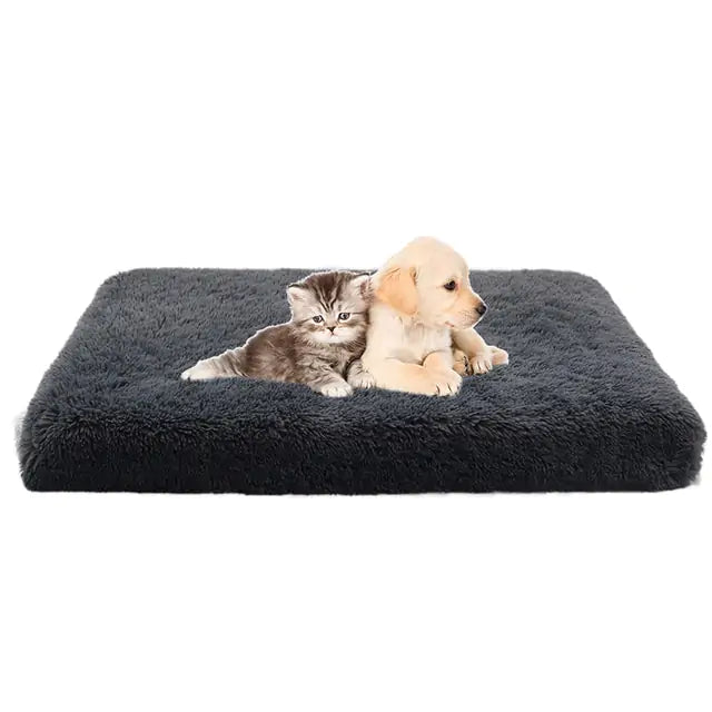 Plush Dog Bed