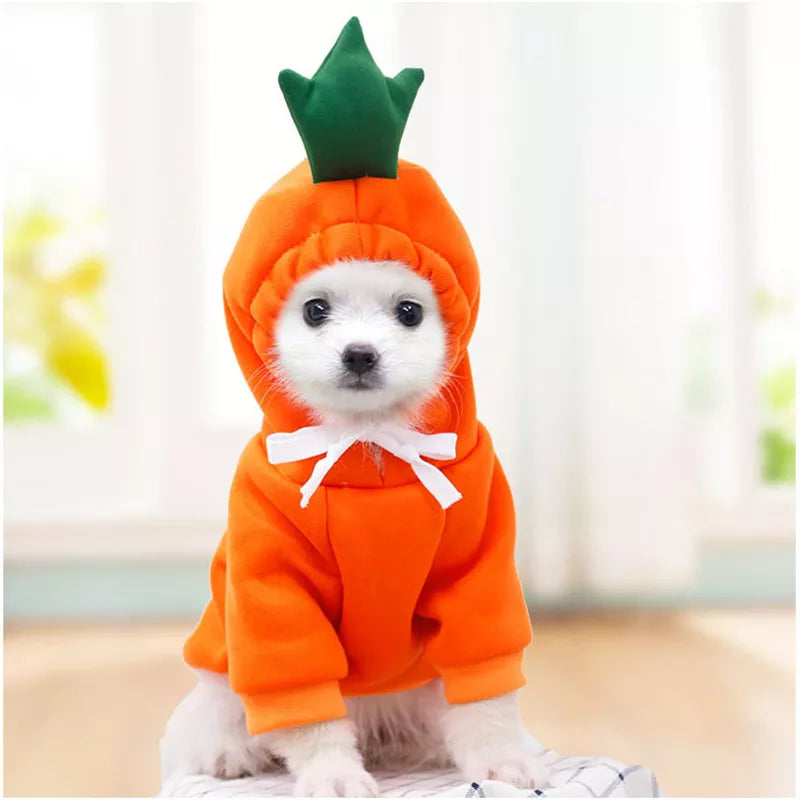 Carrot Dog Hoodie