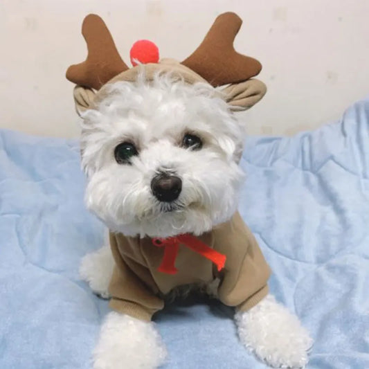 Rudolph Reindeer Dog Hoodie