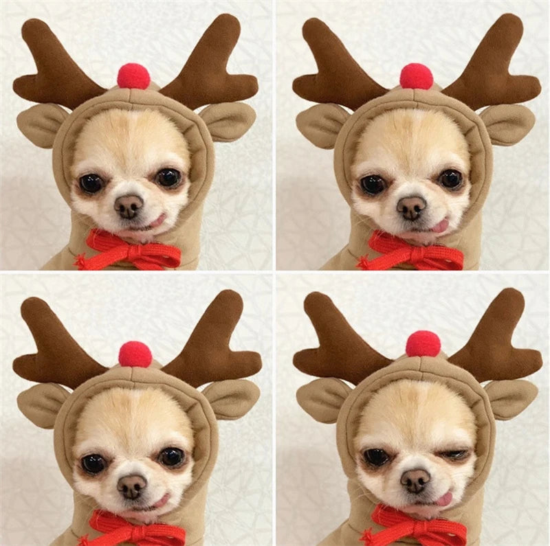 Rudolph Reindeer Dog Hoodie