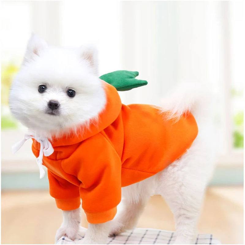 Carrot Dog Hoodie