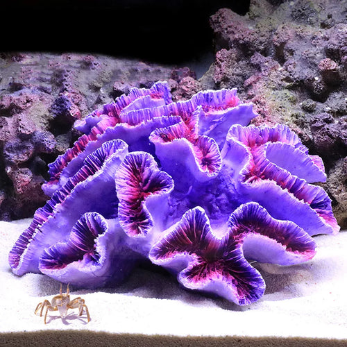 Coral Reef Aquarium Ornaments Landscaping