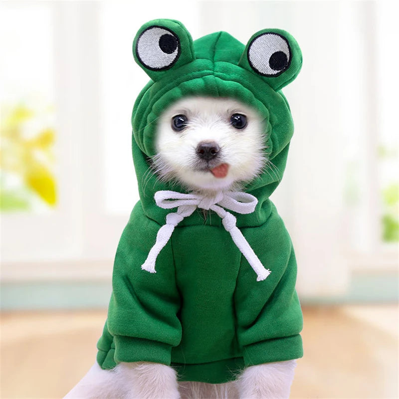 Frog Dog Hoodie