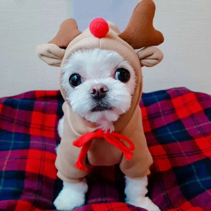 Rudolph Reindeer Dog Hoodie