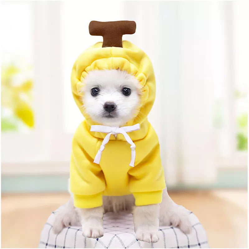 Banana Dog Sweater