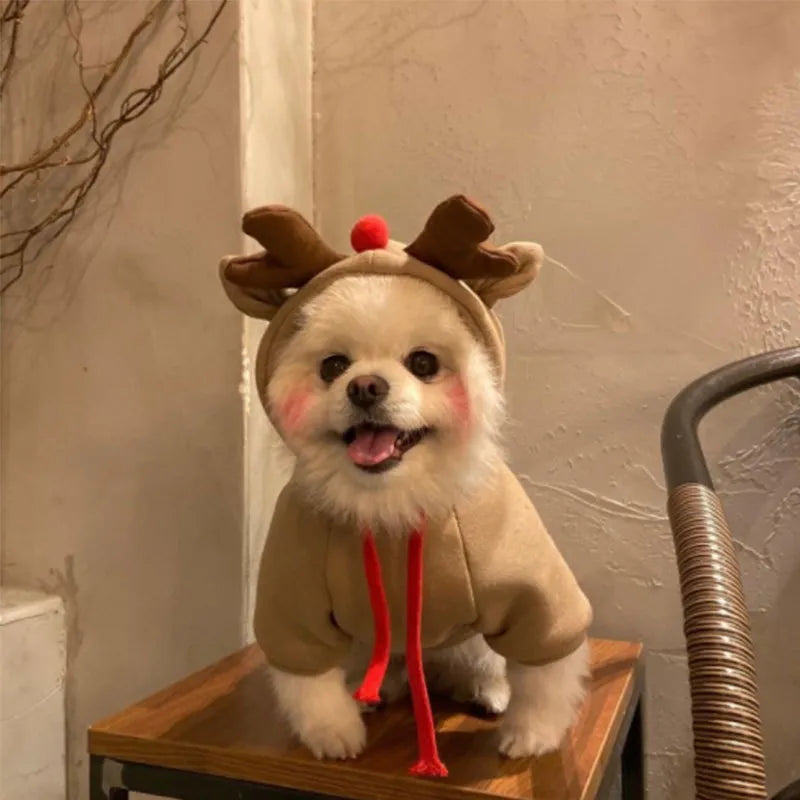 Rudolph Reindeer Dog Hoodie