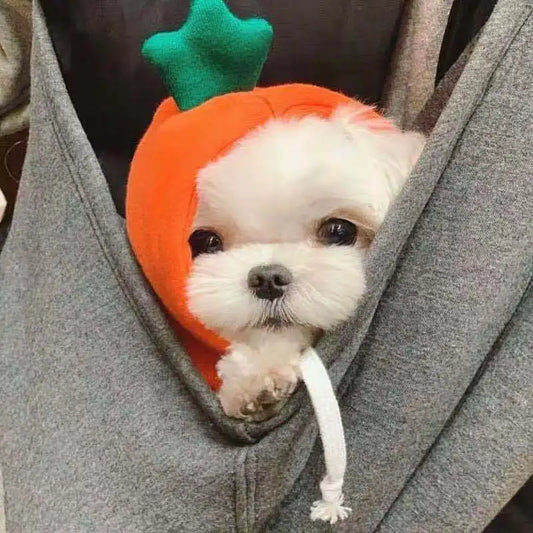 Carrot Dog Hoodie