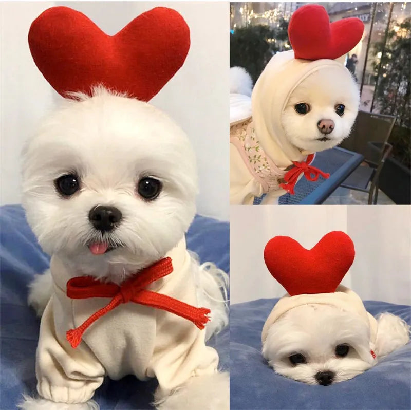 Cupid Dog Hoodie