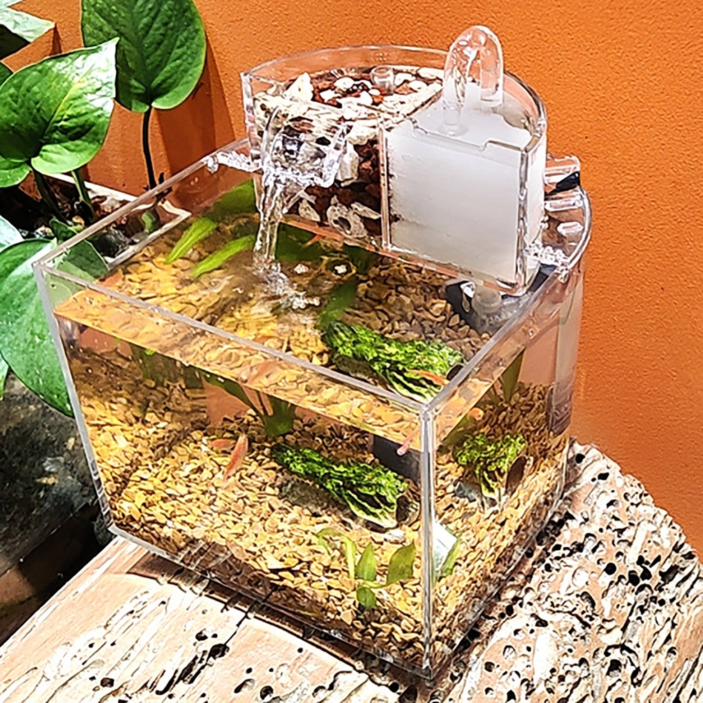 Clear Mini Acrylic Aquarium for On-the-Go Fish Care