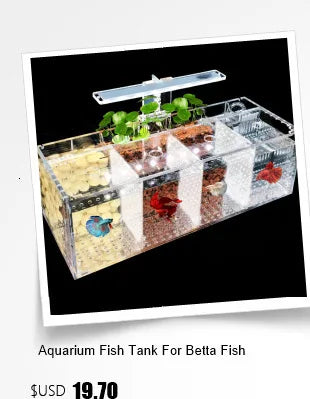 Custom Ultra White Acrylic Tabletop Aquarium