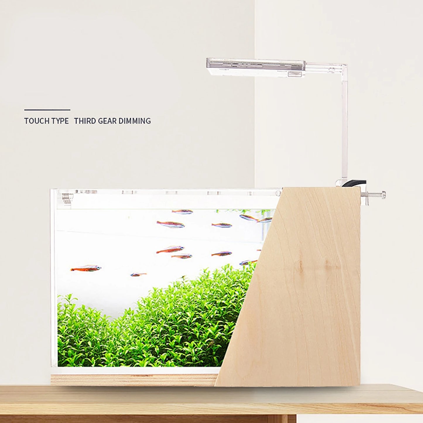 All In One Desktop Fish Tank