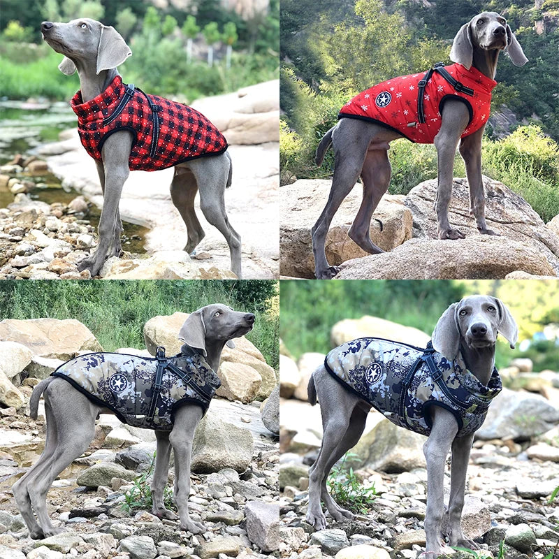 Waterproof Jacket With Harness