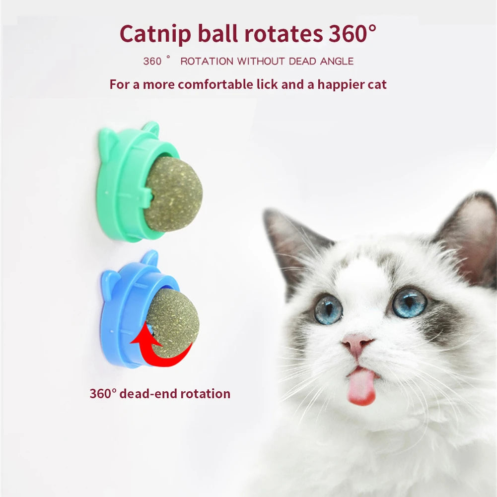 Catnip Wall Ball Snack for Healthy Cat Digestion