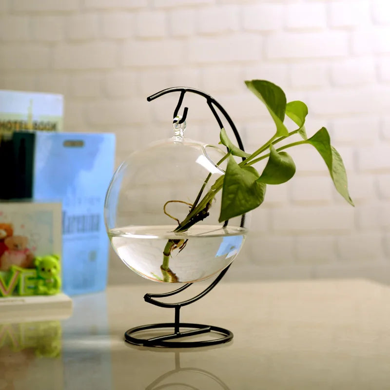 Versatile Mini Clear Glass Hanging Aquarium for Goldfish and Hydroponics