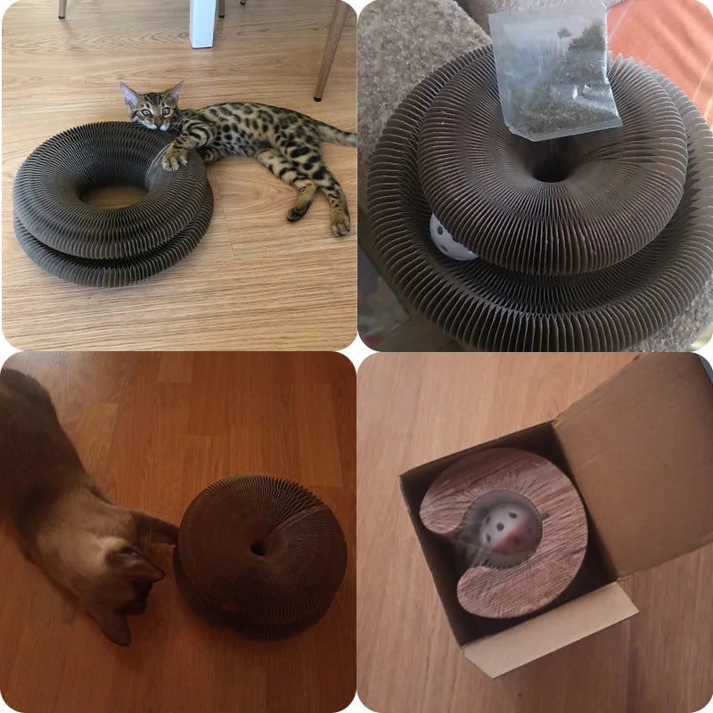 Magic Organ Round Cat Scratcher & Claw Grinder