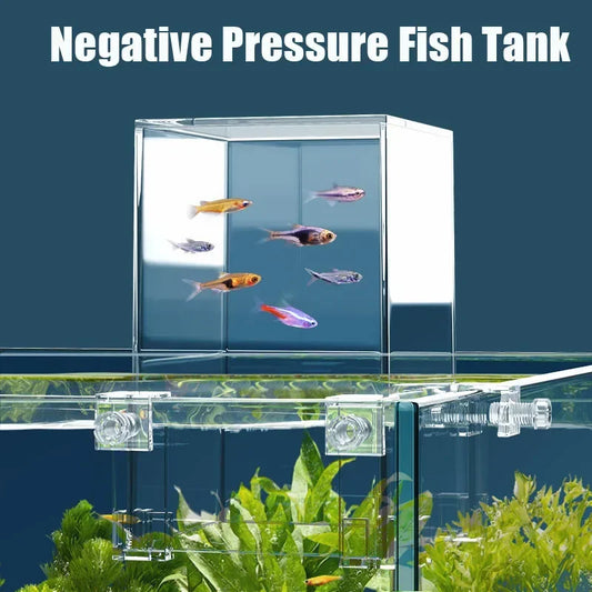 Negative Pressure Aquarium Landscape & Isolation Box