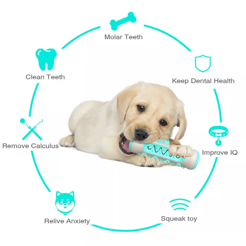 Dog Molar Dental Care Chew Toys