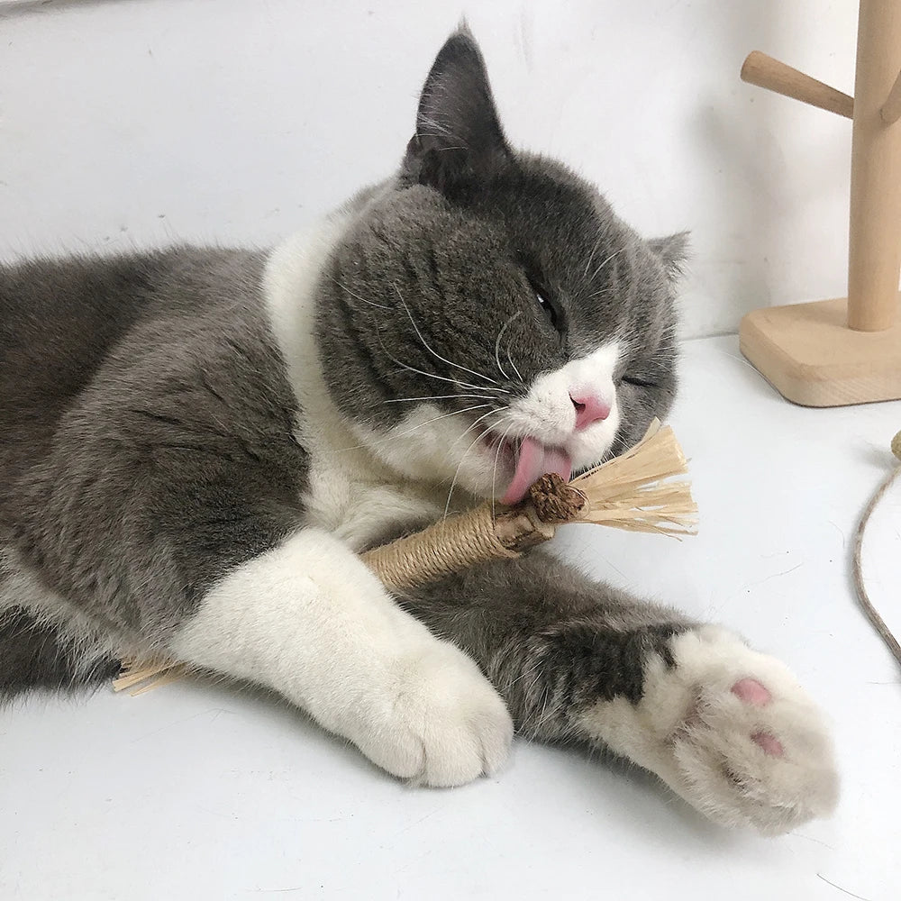 Matatabi Silvervine Dental Sticks for Cats