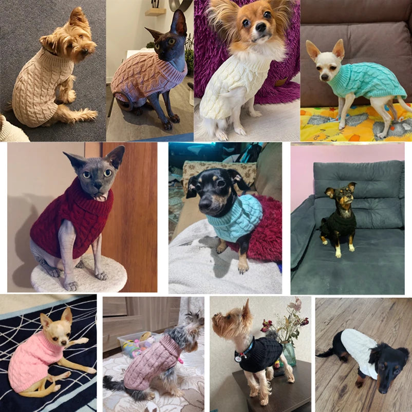 Sweaters for Small pets