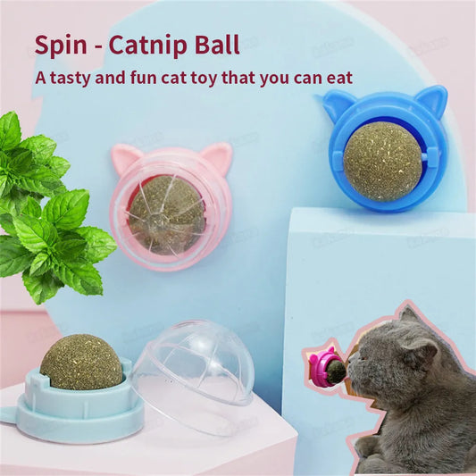 Catnip Wall Ball Snack for Healthy Cat Digestion