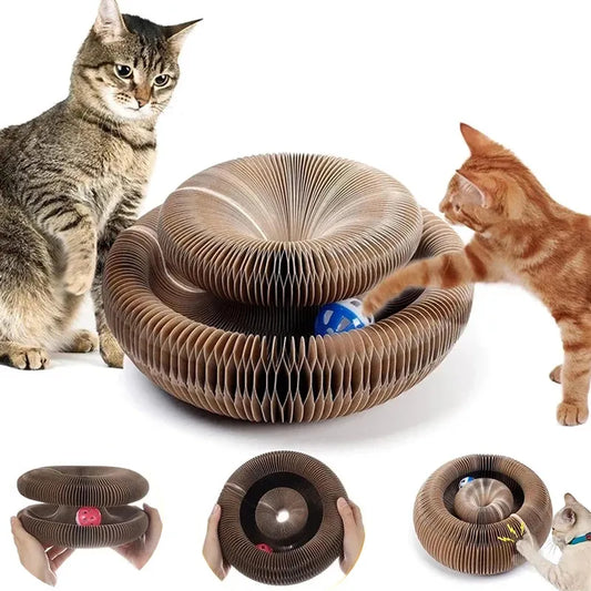 Magic Organ Round Cat Scratcher & Claw Grinder