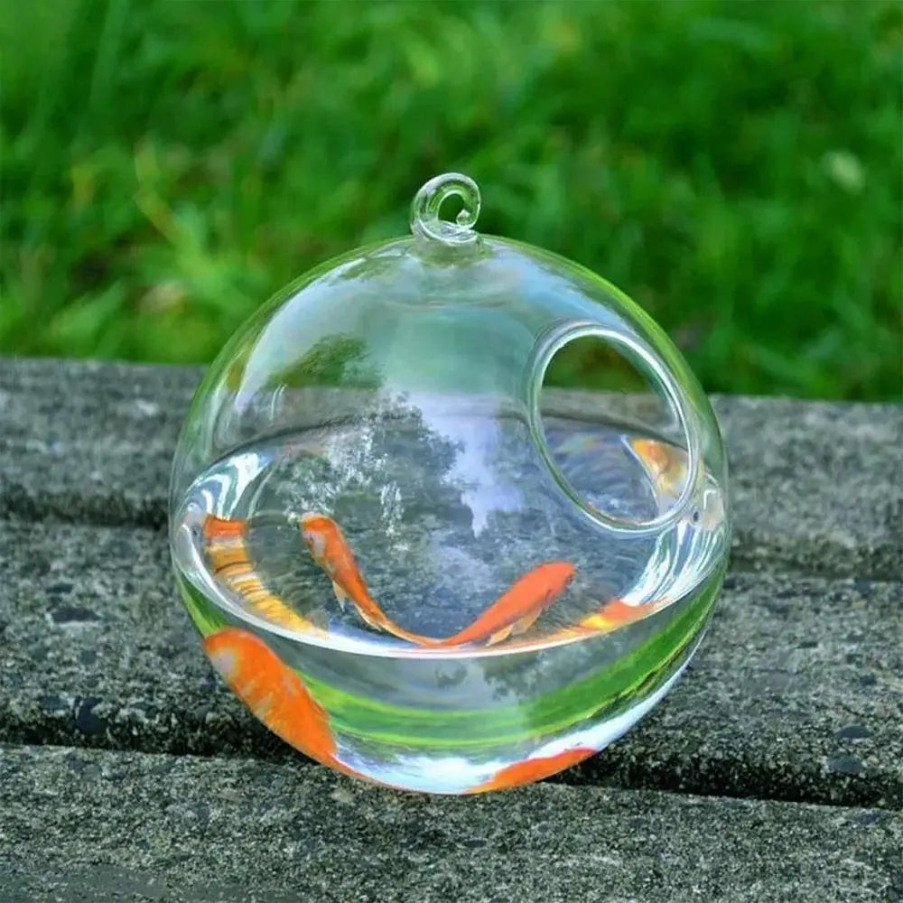 Round or Rectangle Hanging Glass Fish Tank with Rack