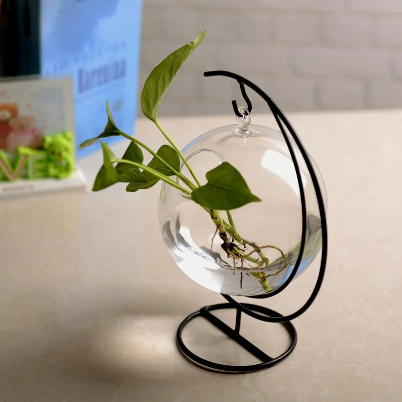 Versatile Mini Clear Glass Hanging Aquarium for Goldfish and Hydroponics