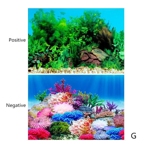 3D Double-sided Aquarium Landscape Sticker Poster