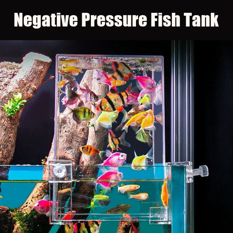 Negative Pressure Aquarium Landscape & Isolation Box