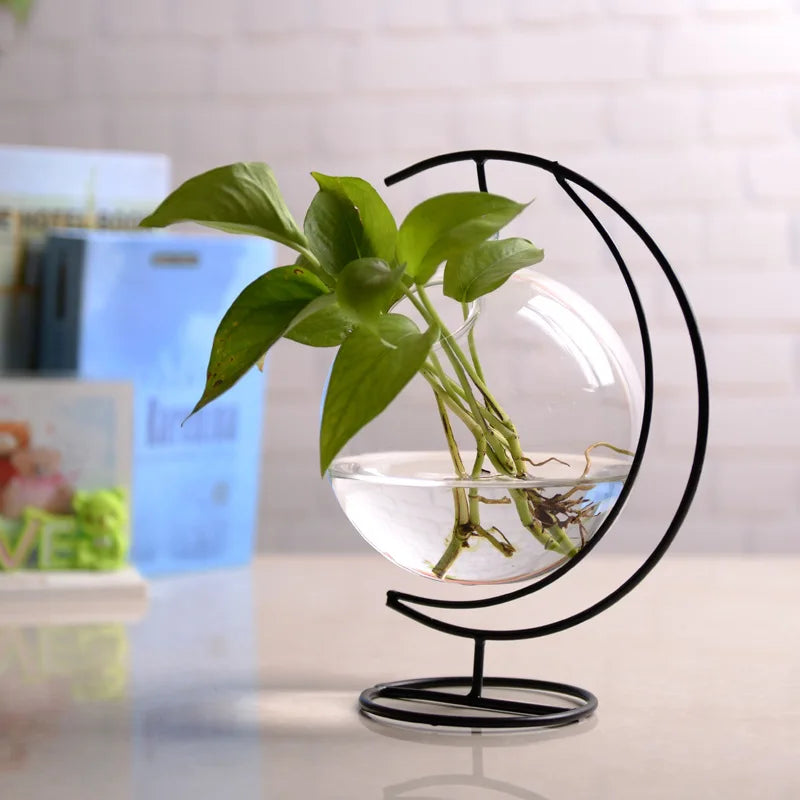 Versatile Mini Clear Glass Hanging Aquarium for Goldfish and Hydroponics