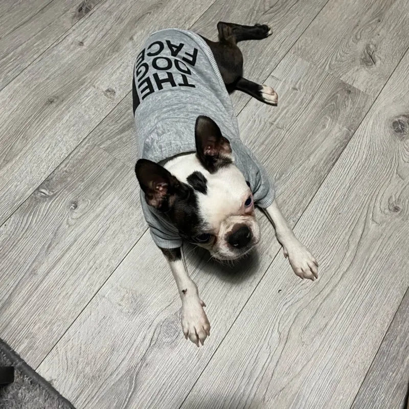 Dog Face Wind Hoodie