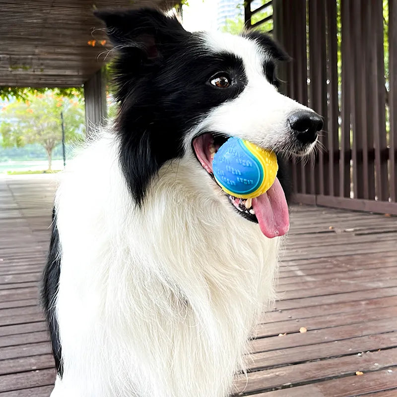 Interactive Teeth Cleaning Dog Bite