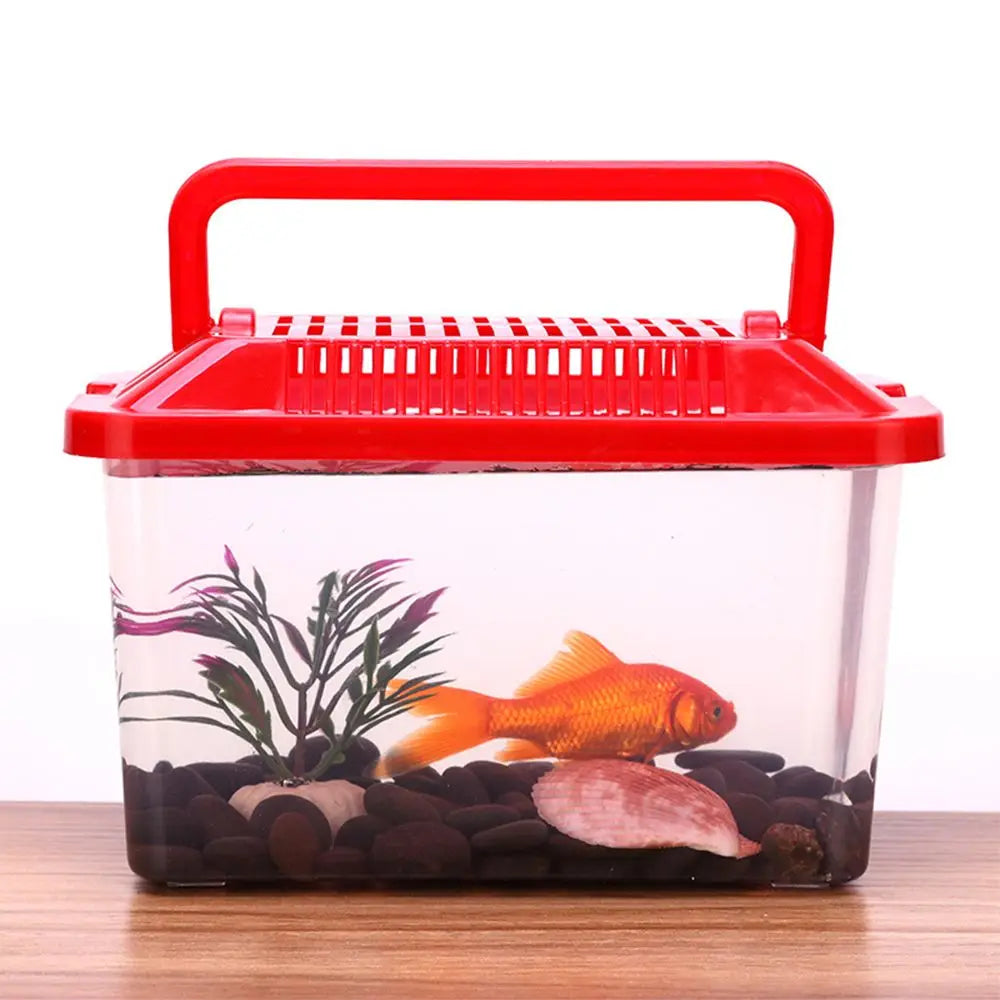 Transparent Portable Aquarium