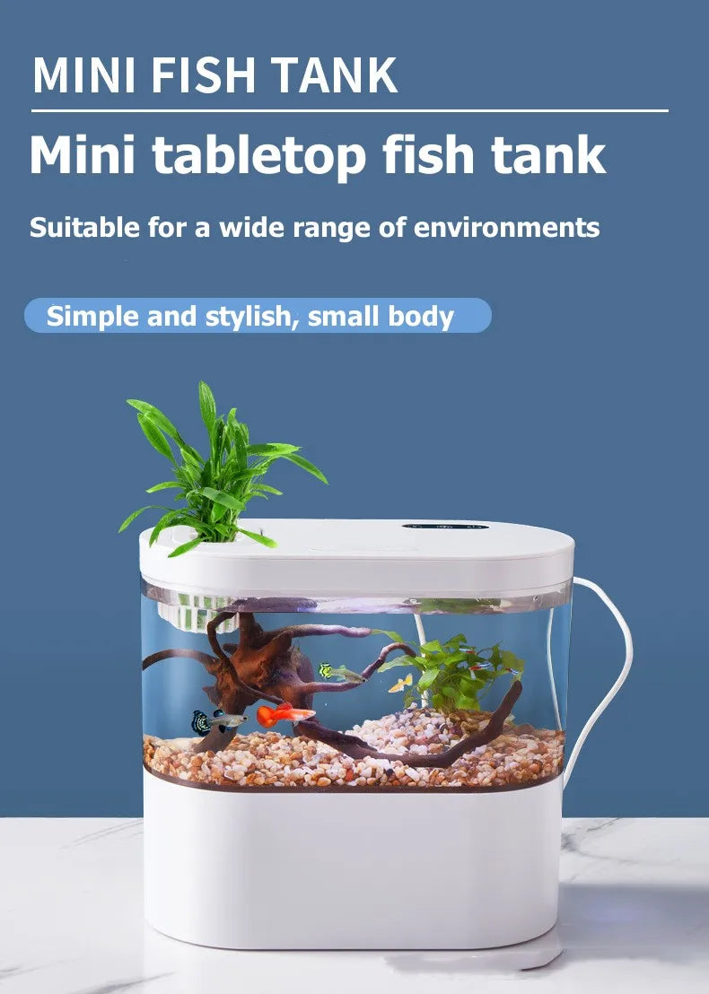 Mini Desktop Aquarium: LED & Biofiltration for Fish