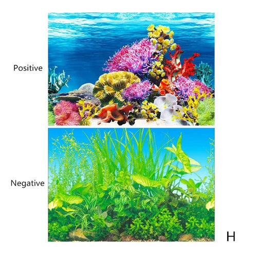 3D Double-sided Aquarium Landscape Sticker Poster