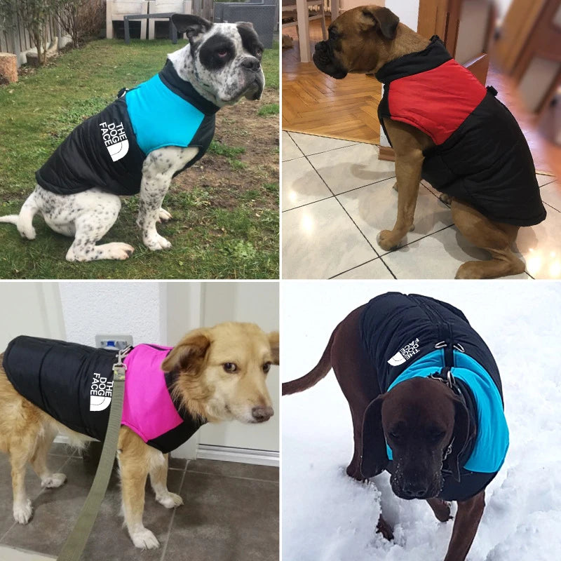 Waterproof Padded Winter Vest