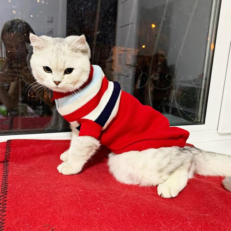 Warm Winter Pet Knitwear