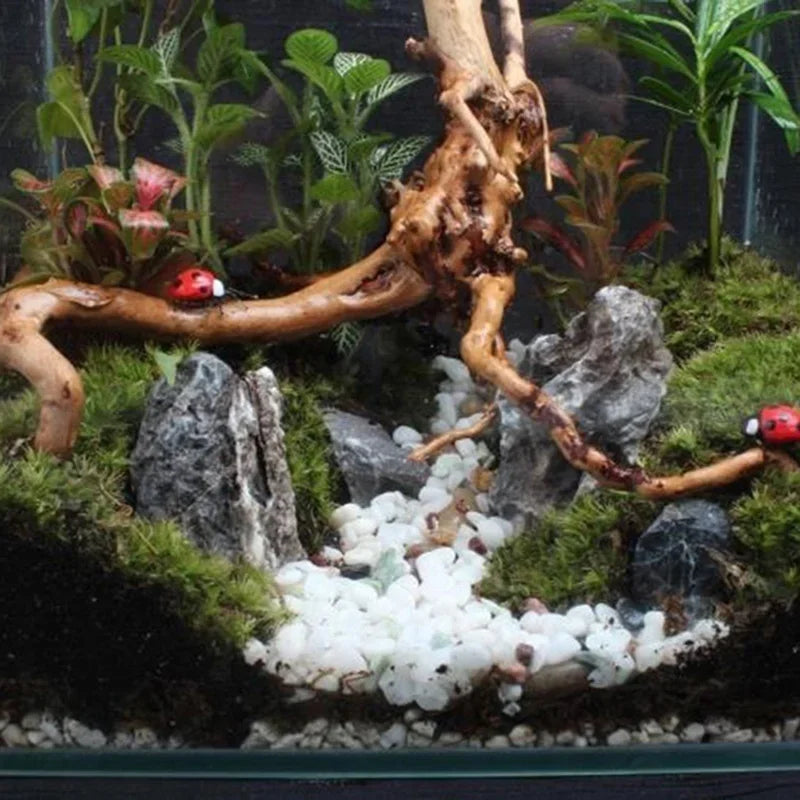 Natural Tree Trunk Driftwood Aquarium Roots