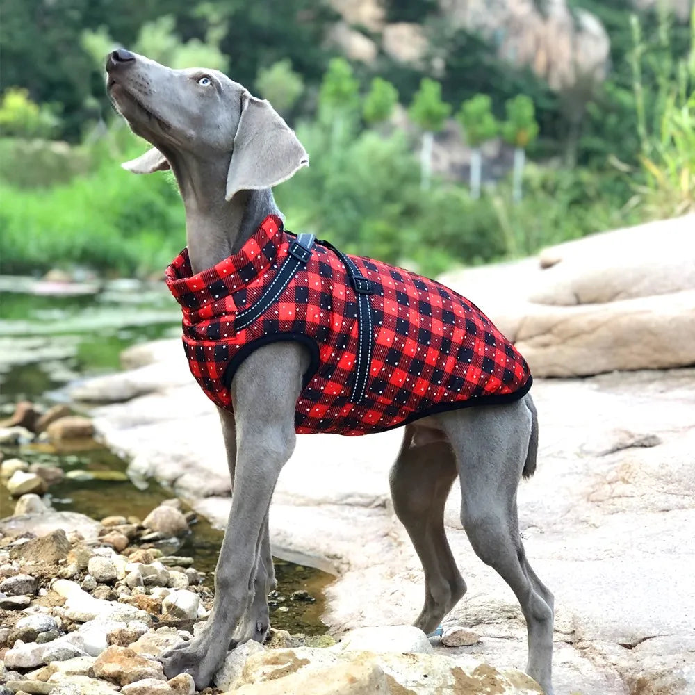 Waterproof Jacket With Harness