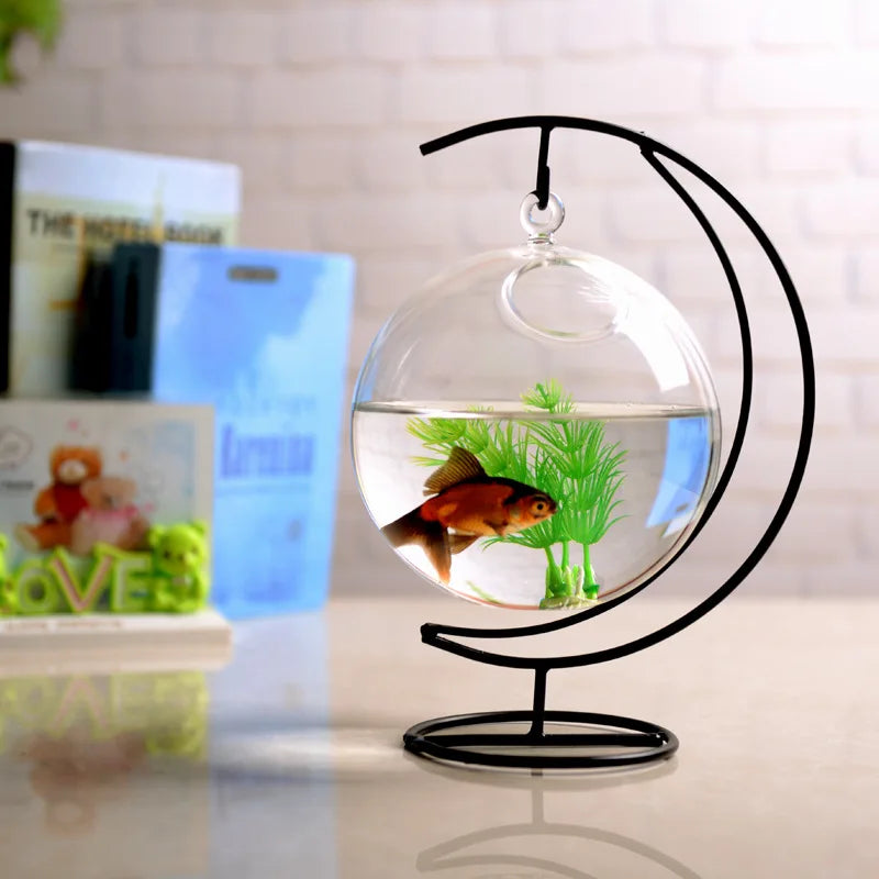 Versatile Mini Clear Glass Hanging Aquarium for Goldfish and Hydroponics