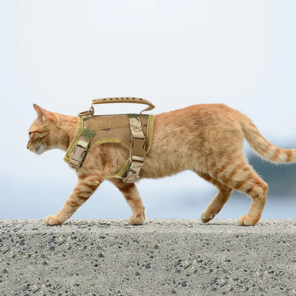 Tactical Training Cat Harness