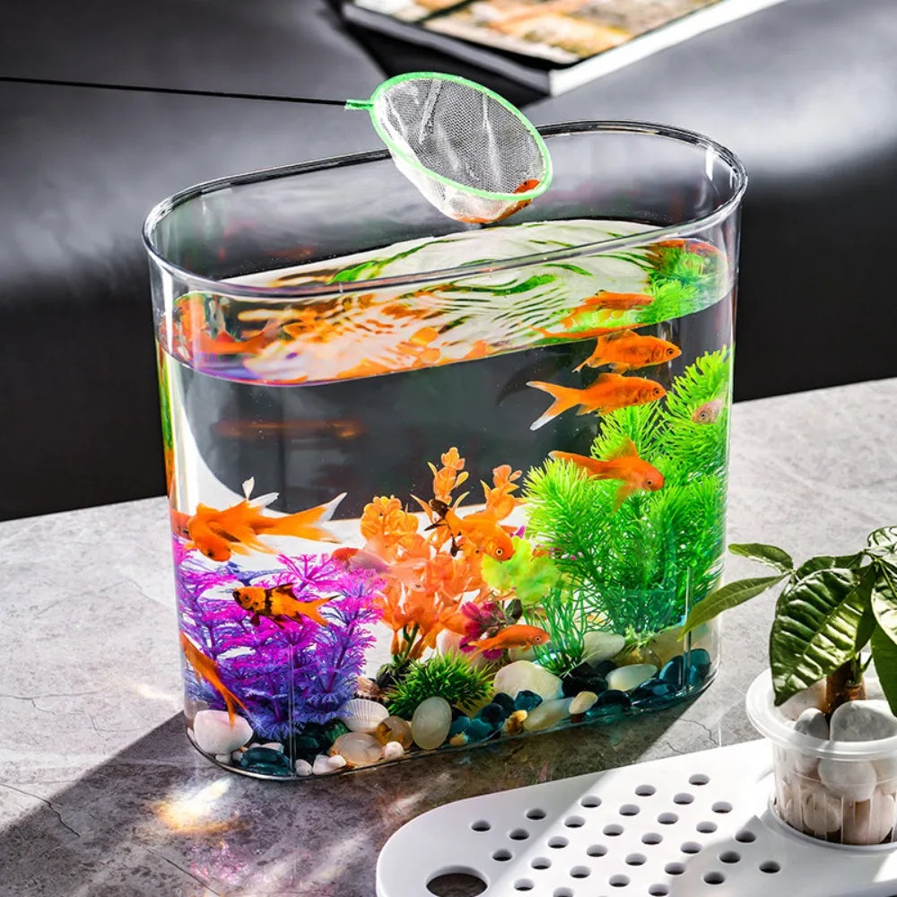 Oval fish tank hotsell