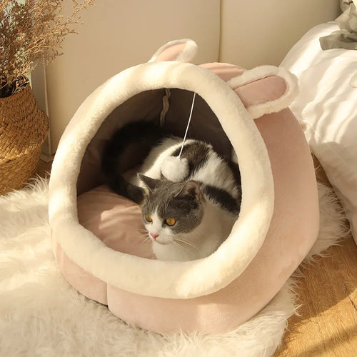 Cat Toy Cave