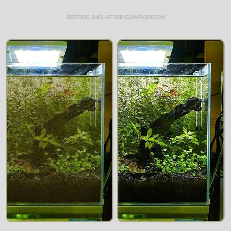 Dual-Use Algae Remover for Fish Tanks Sand and Glass Cleaner