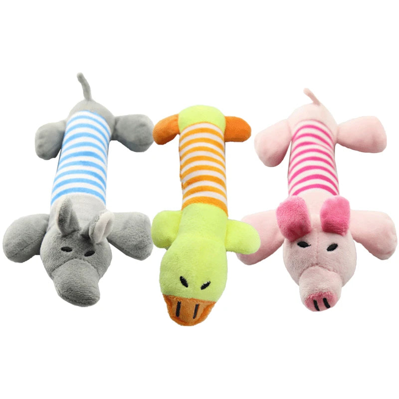 Squeaky Plush Molar Toy