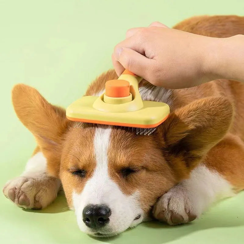 Self Cleaning Pet Brush