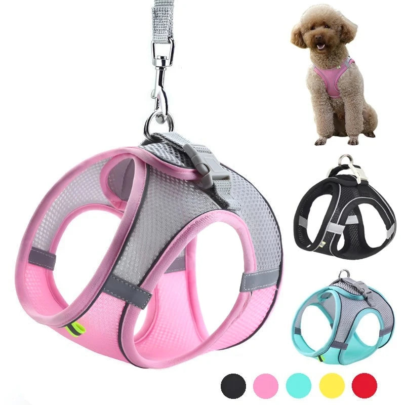 Harness and Leash Set for Small Pet