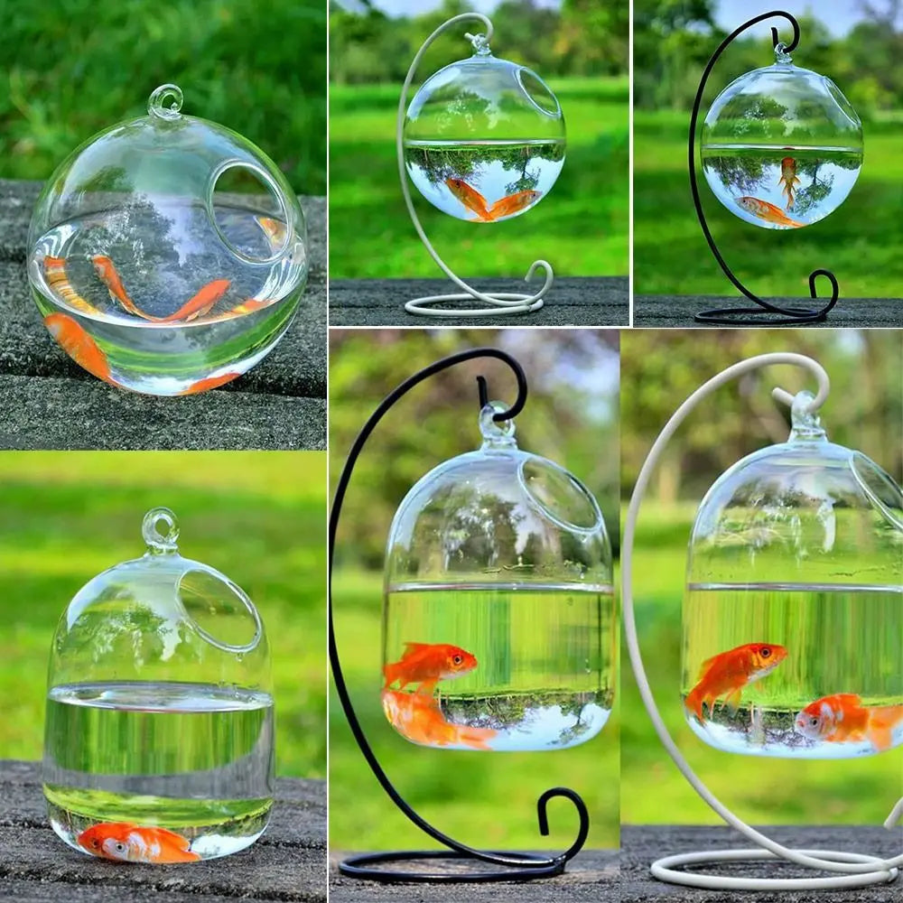 Round or Rectangle Hanging Glass Fish Tank with Rack