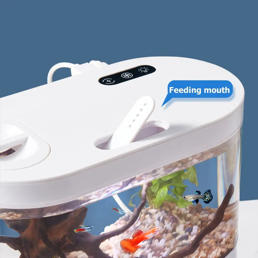 Mini Desktop Aquarium: LED & Biofiltration for Fish