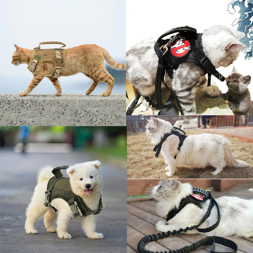 Tactical Training Cat Harness